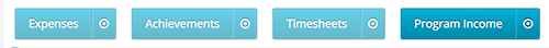 Program Income tab
