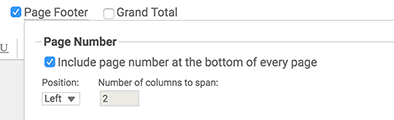 Page Footer Page Number