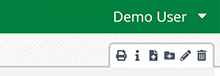 Document Icon Bar
