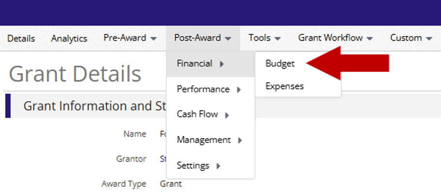 Euna Grants top navigation with Post-Award menu open, showing Financial submenu expanded and an arrow pointing to the Budget option.
