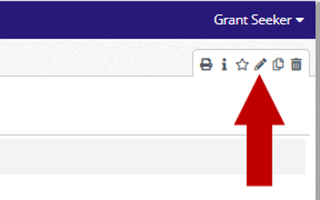 Options toolbar with an arrow pointing to the Edit button.