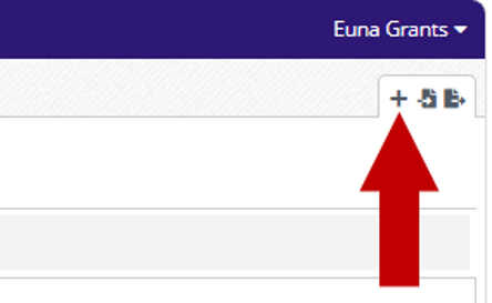 Options toolbar with the Add Category button indicated by an arrow, next to the Euna Grants menu.
